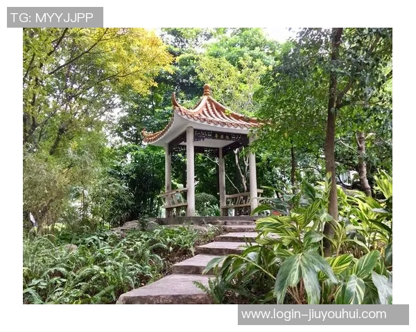 足球袜的性别差异与运动表现的关系探讨及其对运动员选择的影响